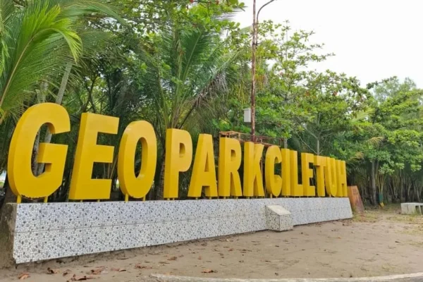 WhatsApp Image 2026-01-27 at 16.27.12 (1) (1)